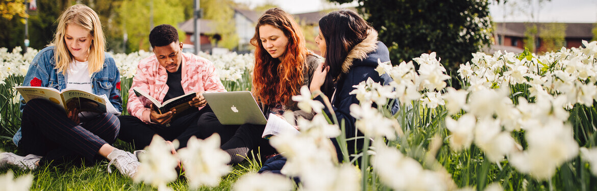 Environmental Humanities students sitting on grass, surrounded by lots of daffodils