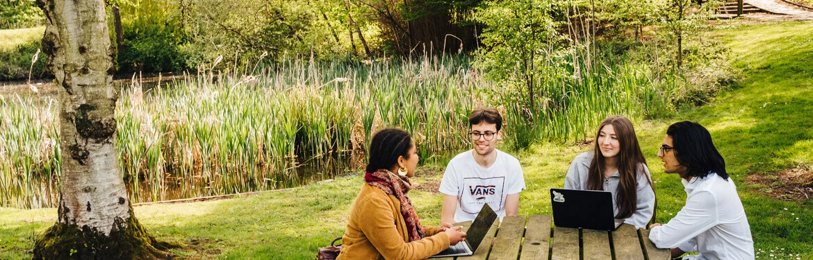 Students studying together outdoors near a campus pond.
