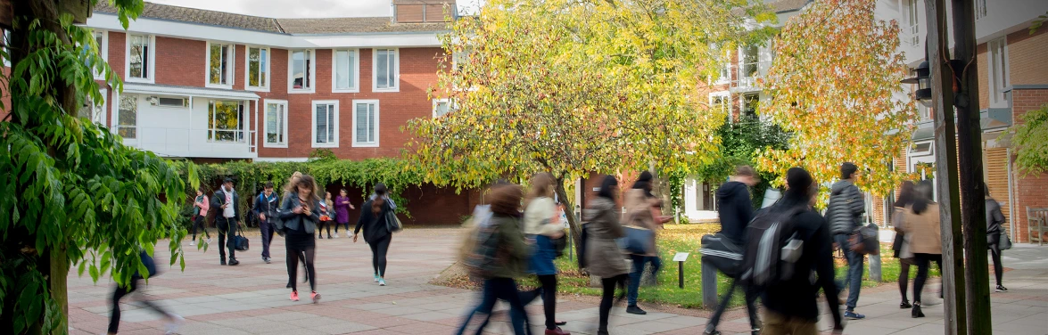 Students walking to class