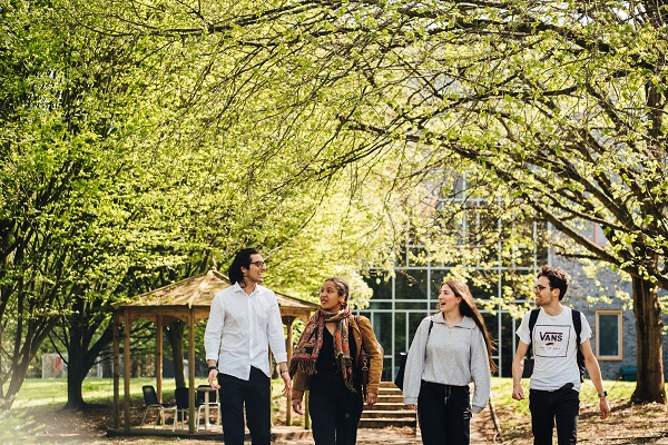 Four students walking under some trees, on a sunny day, chatting.