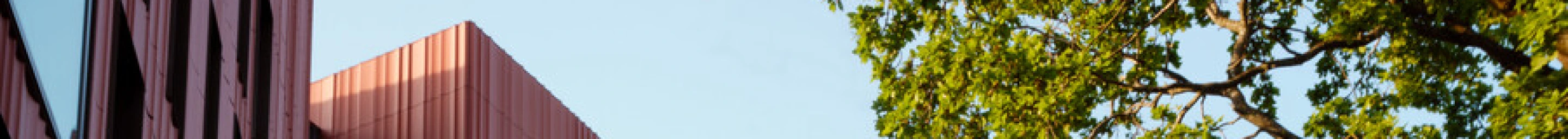 The Faculty of Arts Building, sky and the tops of trees.