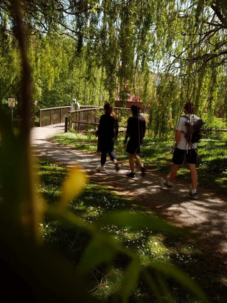 Students enjoying a scenic walk through a green campus pathway.