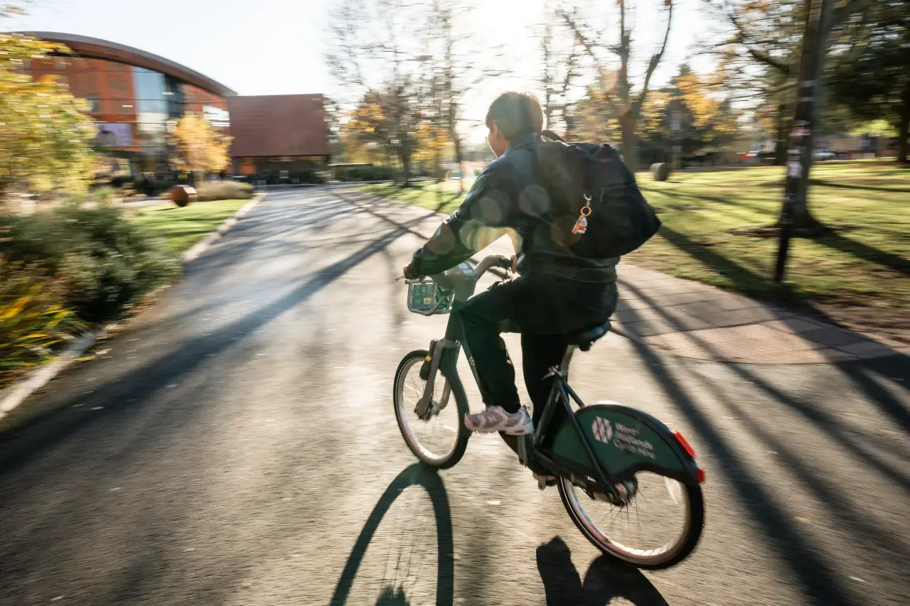 A student rides a bike on a through a sunny and green campus.