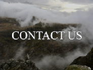 Contact Us Picture Link