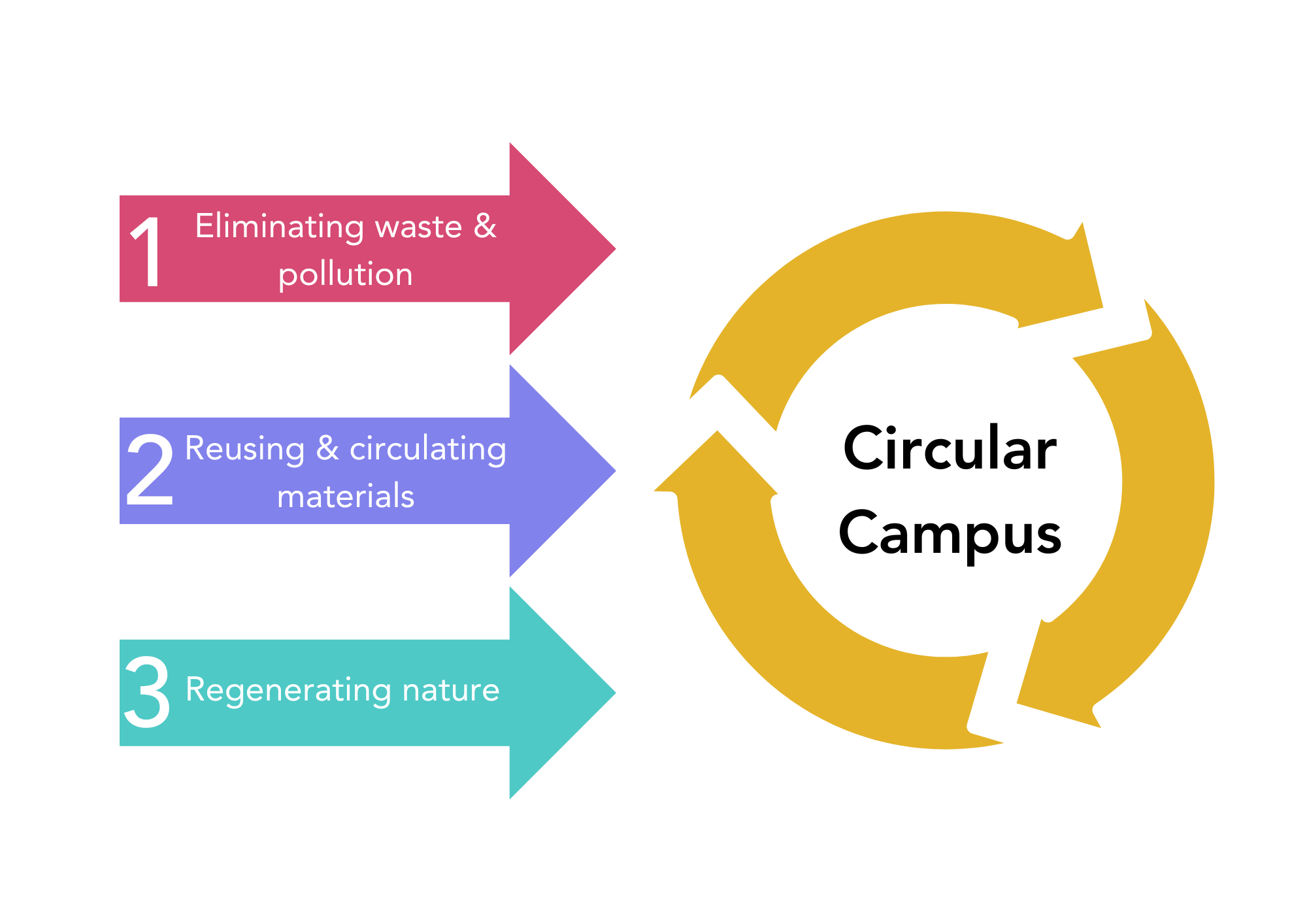 Three arrows pointing towards circular economy. Arrow 1: Eliminating waste and pollution. Arrow 2: Reusing and and circulating materials. Arrow 3: Regenerating nature