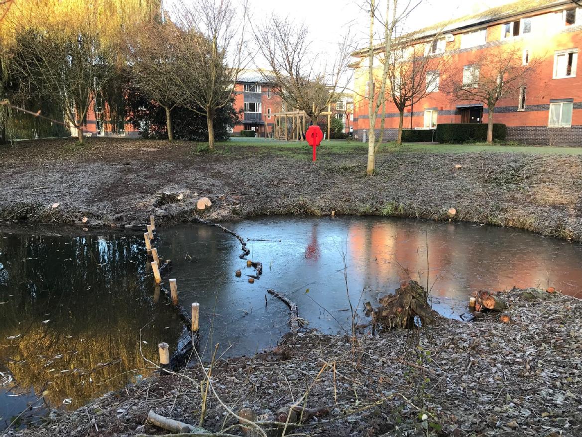 Claycroft Ponds Enhancement News Environmental Sustainability
