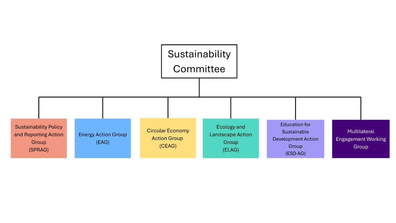 Sustainability committee and action groups 