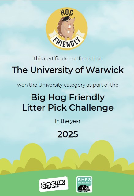 winner certificate