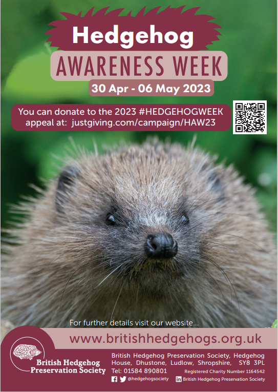 hedeghog awareness week