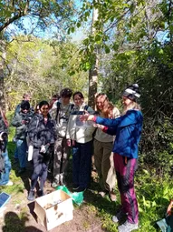 Small mammal survey