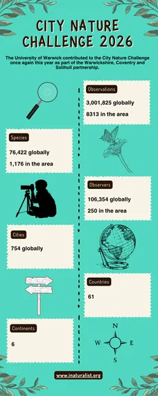 CNC global infographics