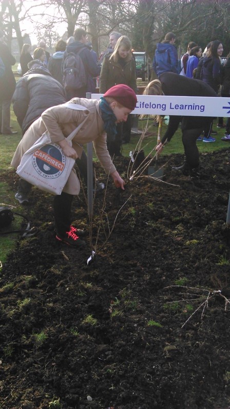 Jam Grove Tree Planting
