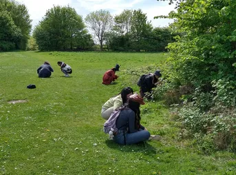 City Nature Challenge bioblitz on campus