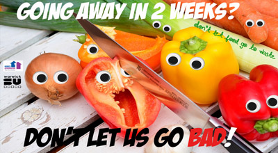 A poster used in the project