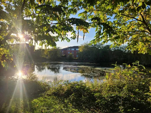 A view of a pond on the University of Warwick campus, surrounded by trees