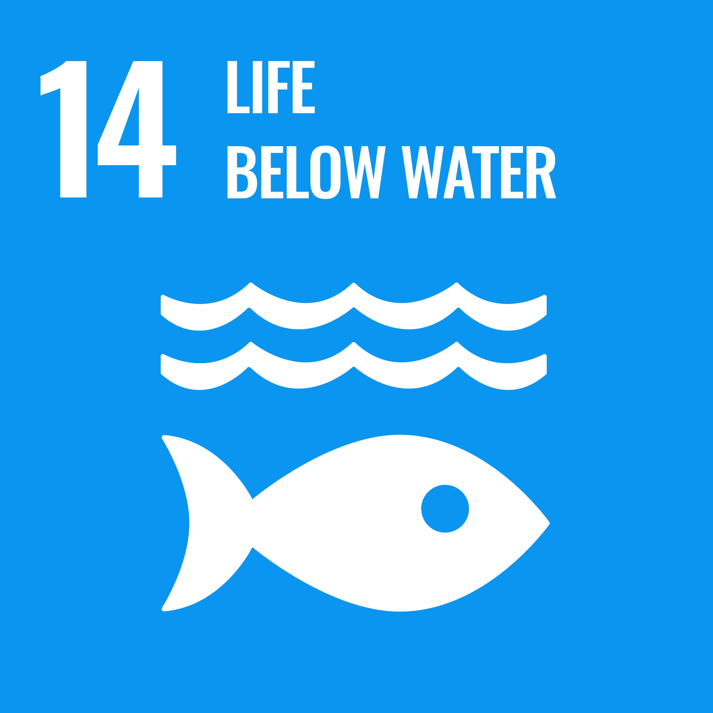 Icon 14, Life Below Water - Sustainable Development Goals