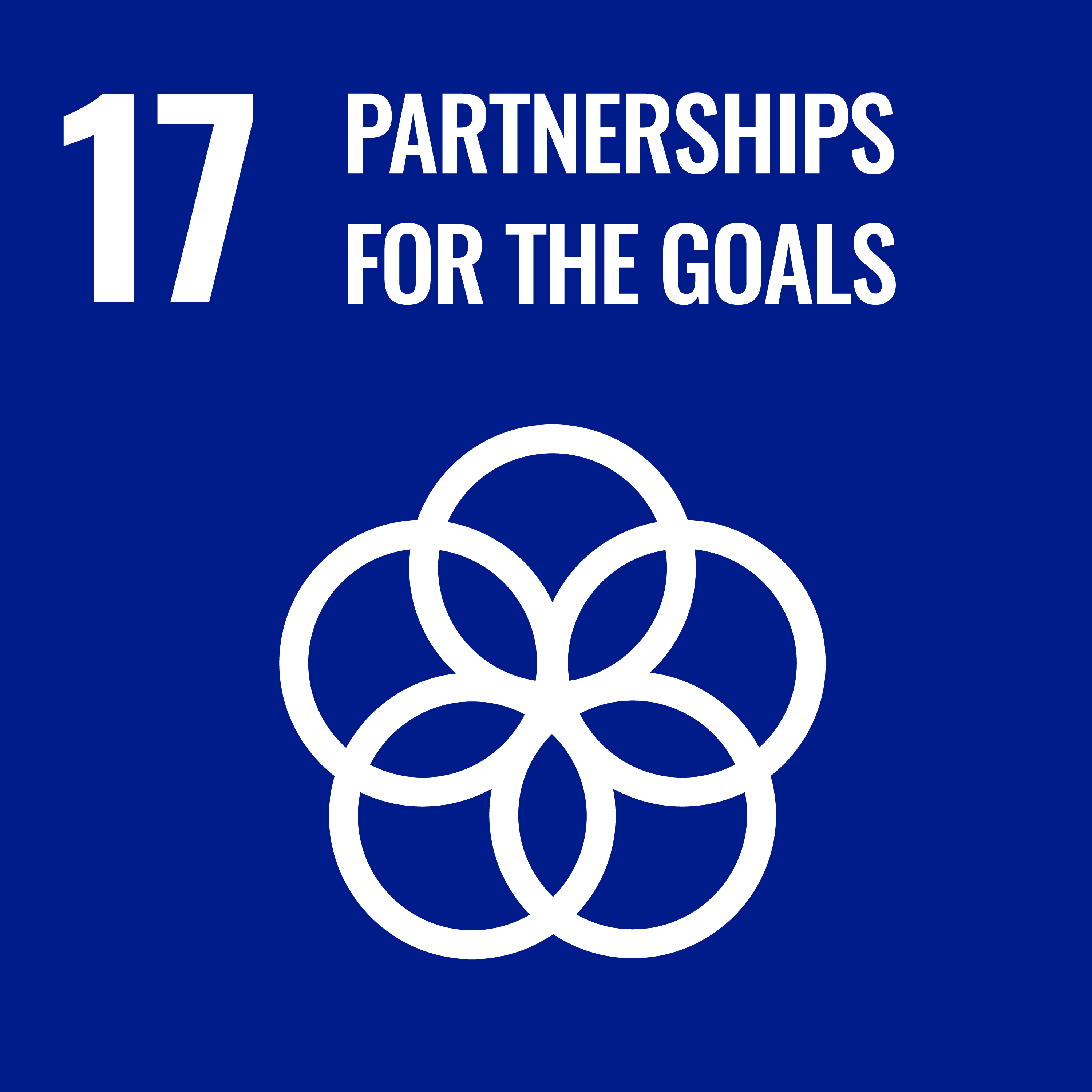 Icon 17, Partnerships for the Goals - Sustainable Development Goals