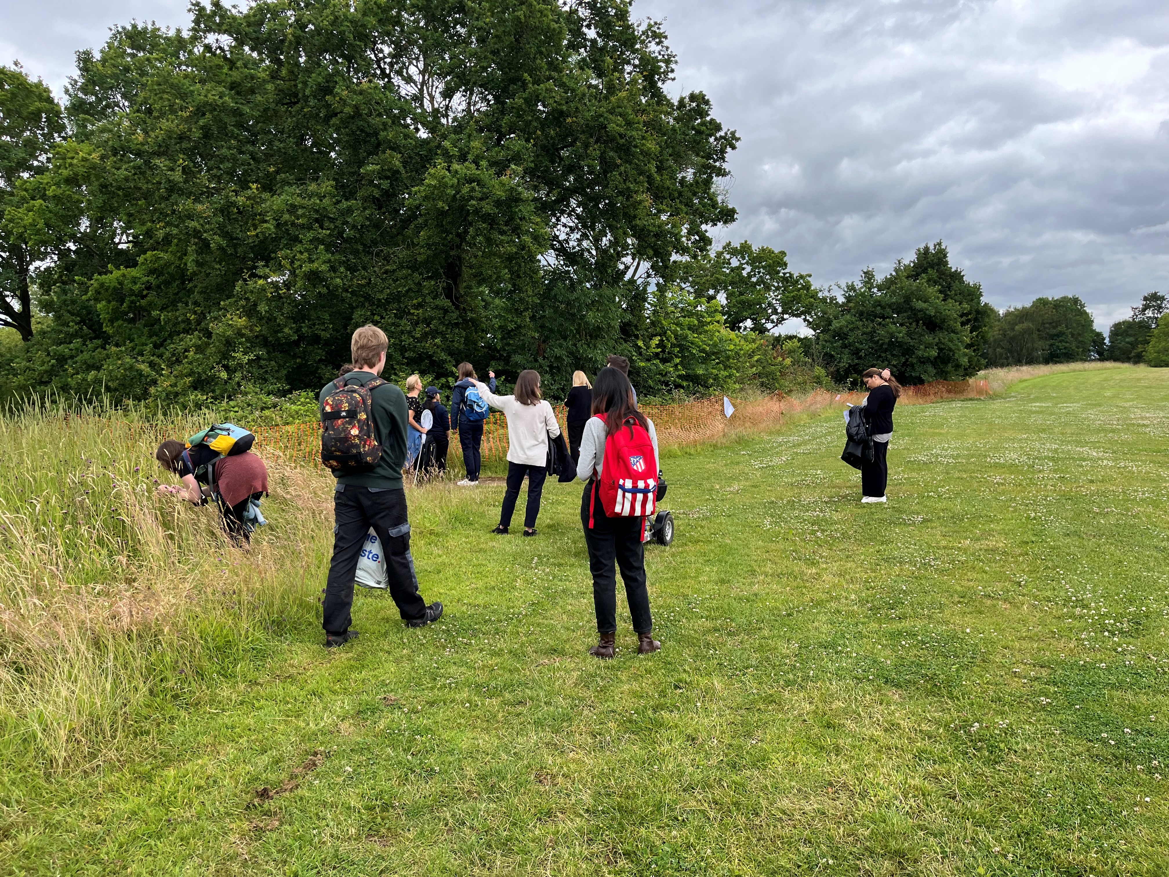 Biodiversity walk - pollinators