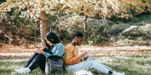Students studying outside