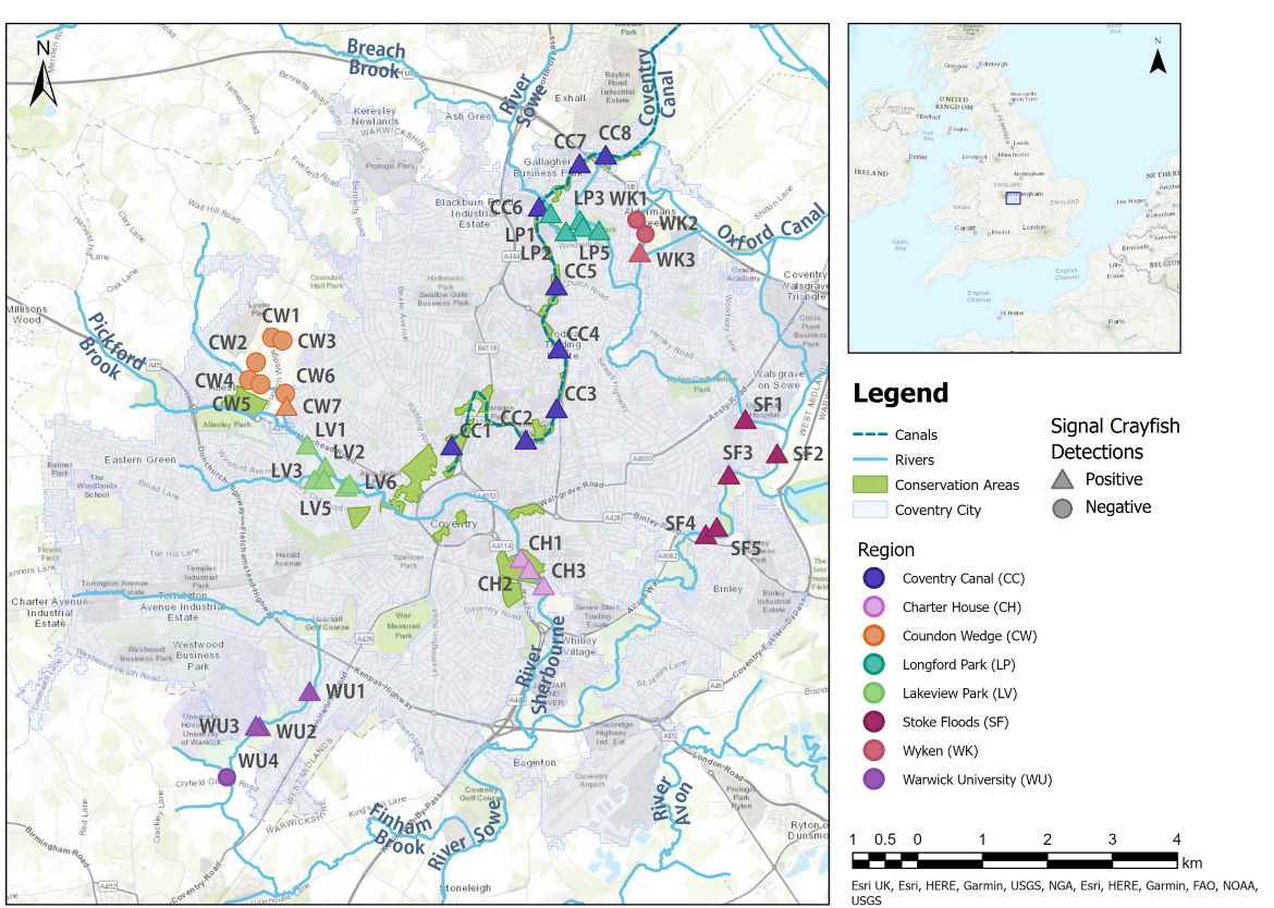 A map of the 41 sites sampled across 8 urban greenspaces in Coventry and positive or negative Signal Crayfish detections.