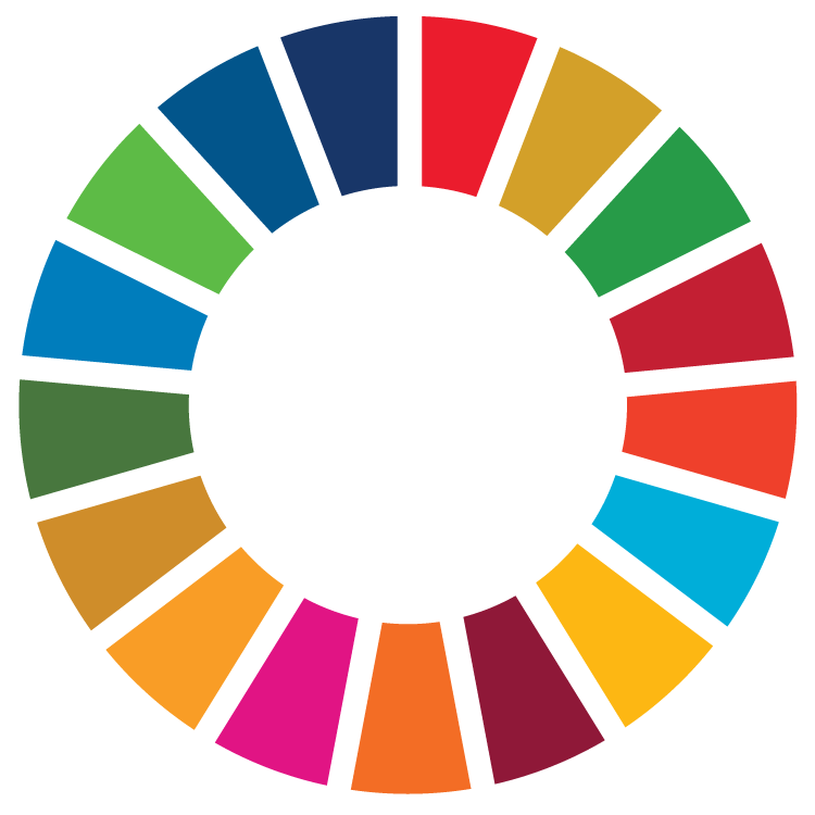 sdg wheel 17 sdgs