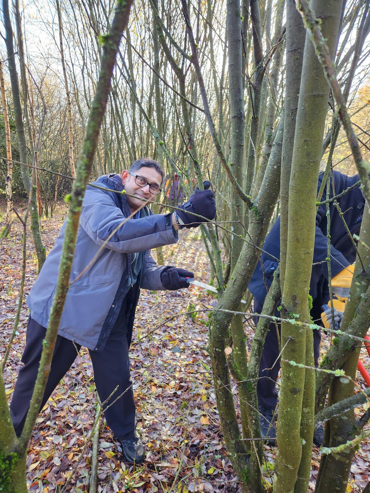 Coppicing 2