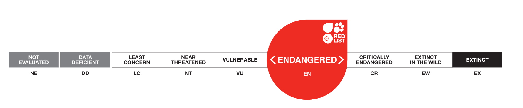 White- claw crayfish is one of the endangered species
