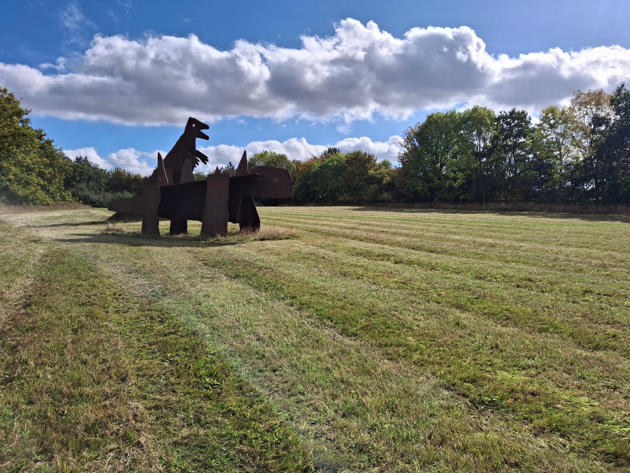 Sowing yellow rattle
