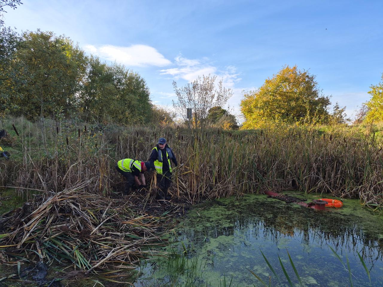 Before the clearance