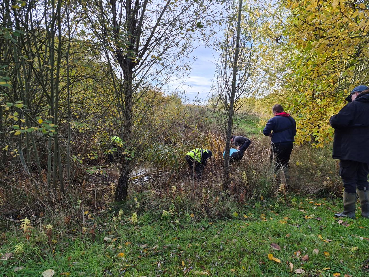 Before the clearance