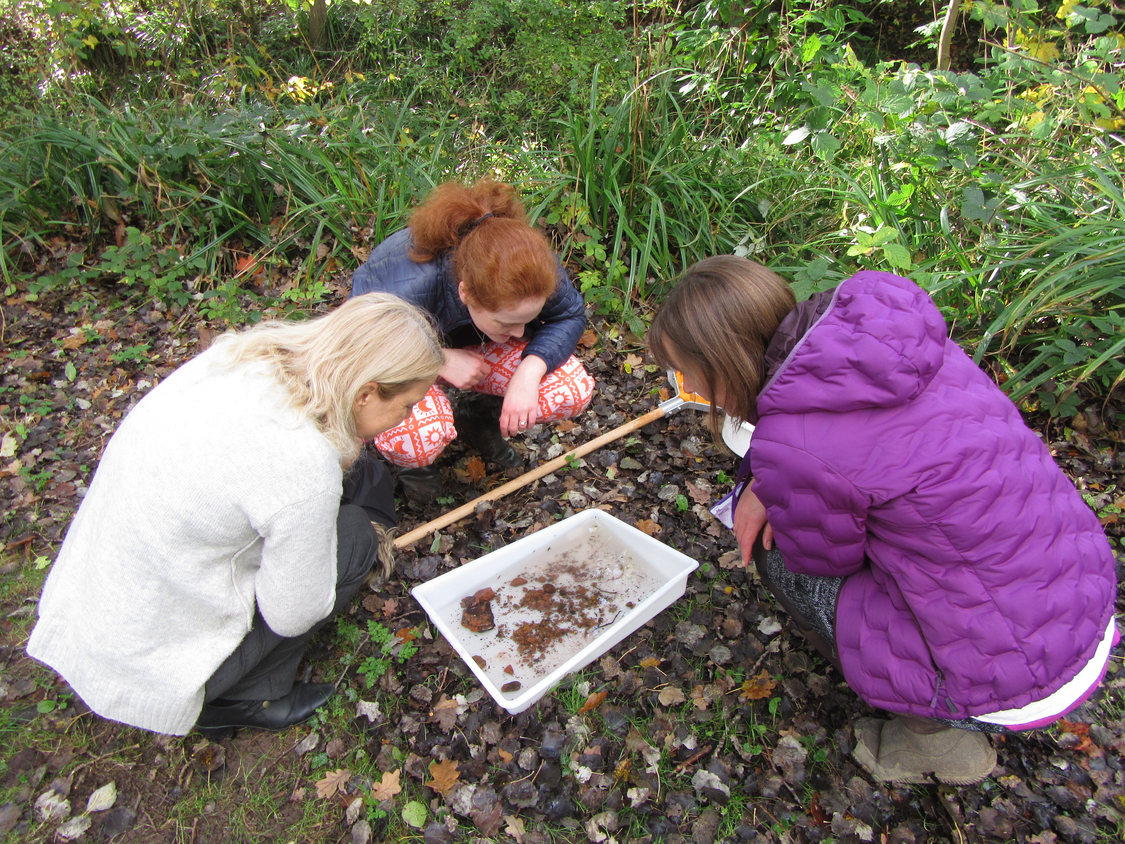 Riverfly survey
