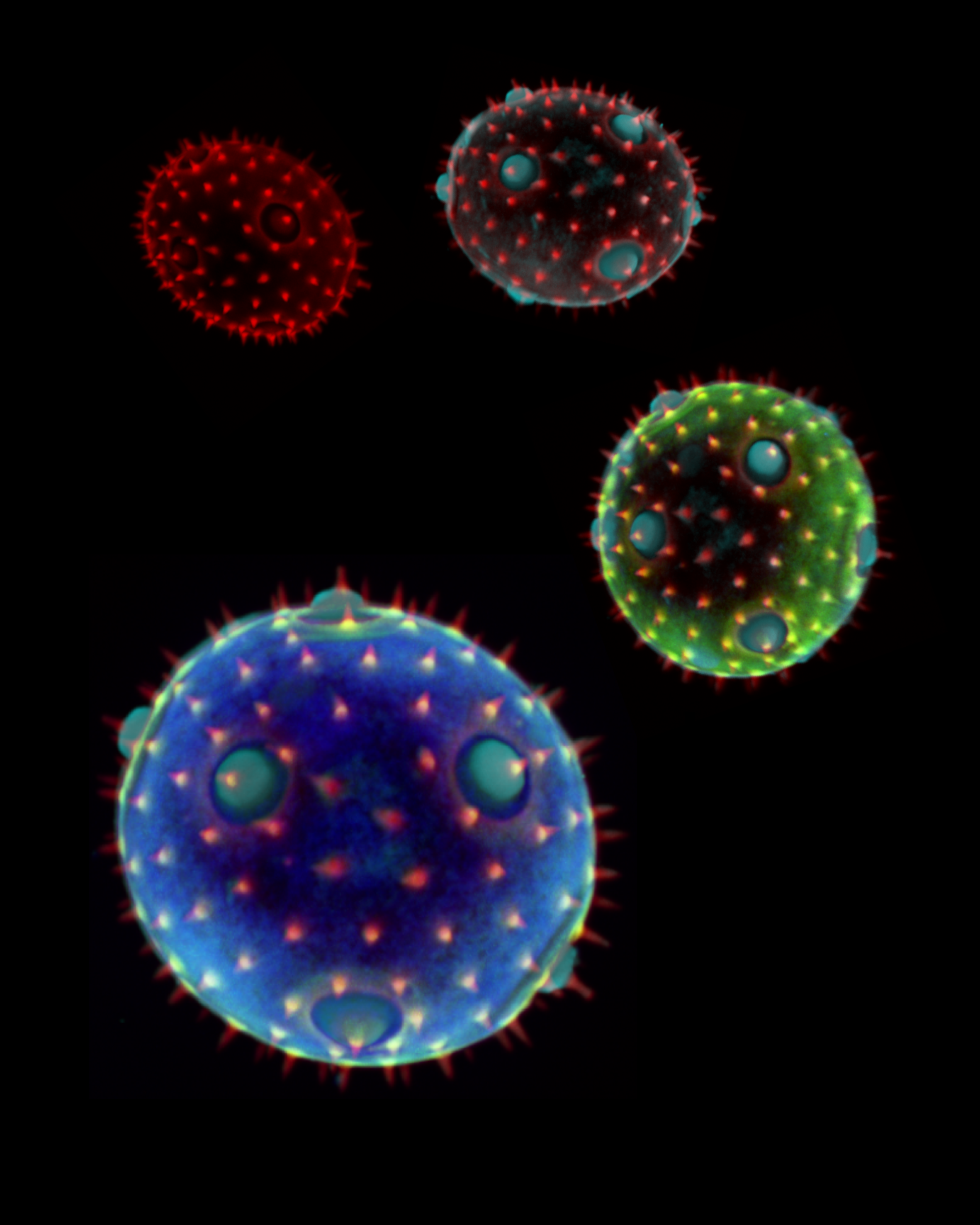 An image of Pumpkin Pollen by John James