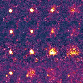 An image of a fusion event of four different vesicles by Meghane Sittewelle 