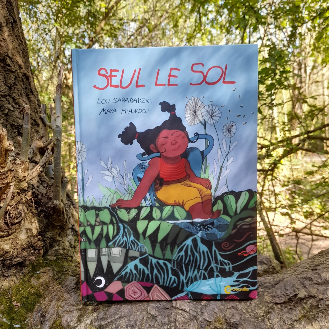Photograph of the book Seul le Sol