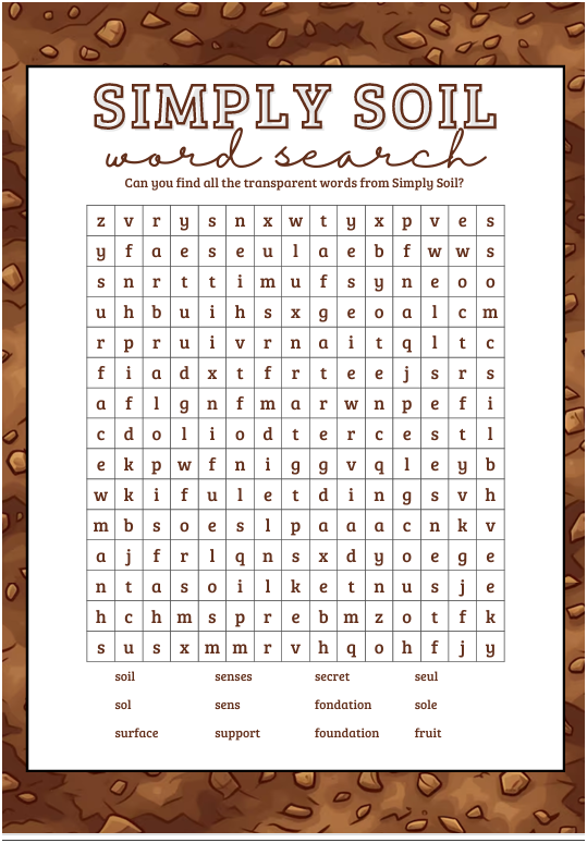 A wordsearch created by the students during their project