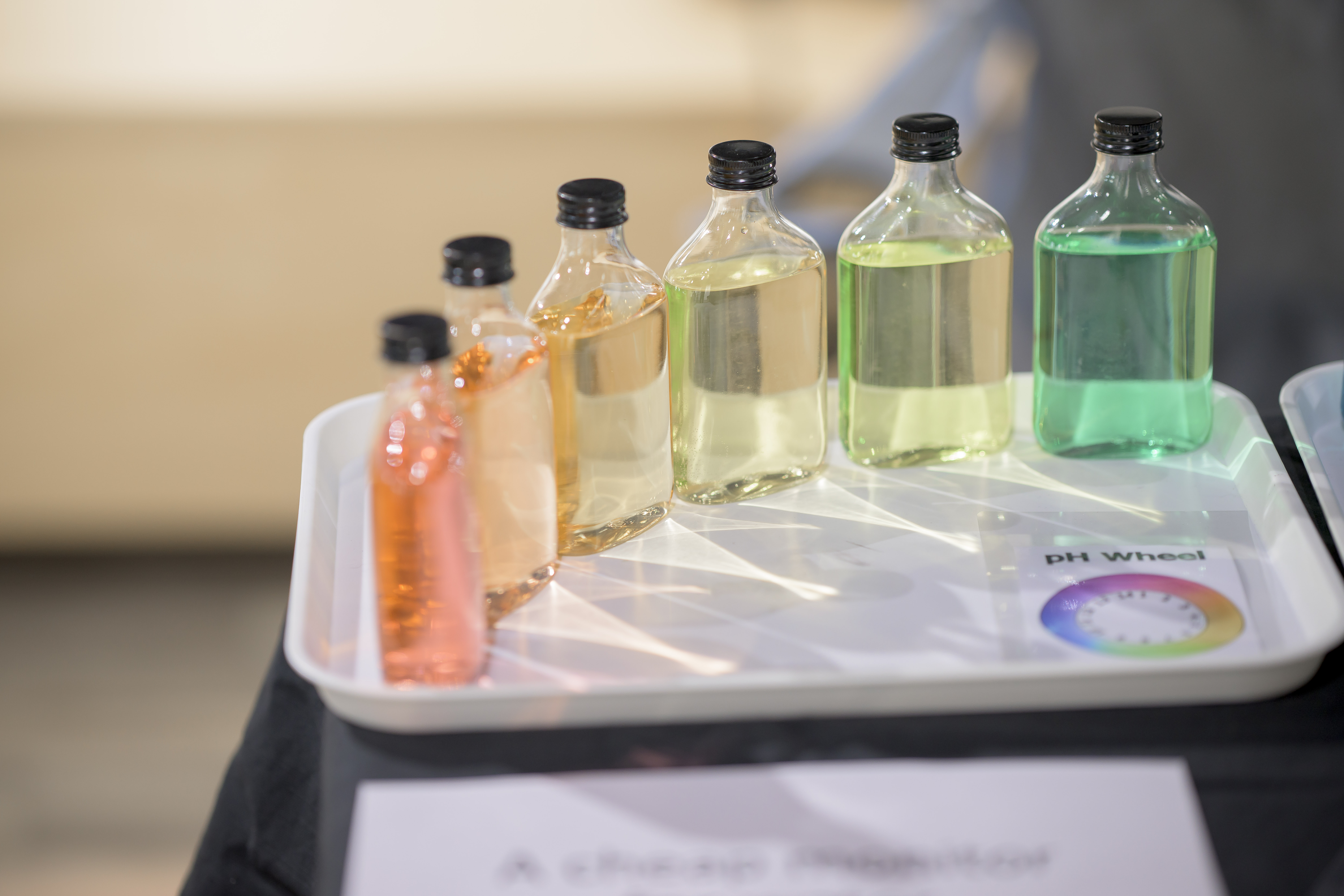 Colourful liquid in science beakers