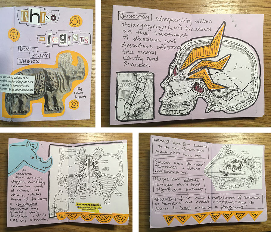 Example zine about Rhinos